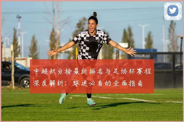 中超积分榜最新排名与足协杯赛程深度解析：球迷必看的全面指南
