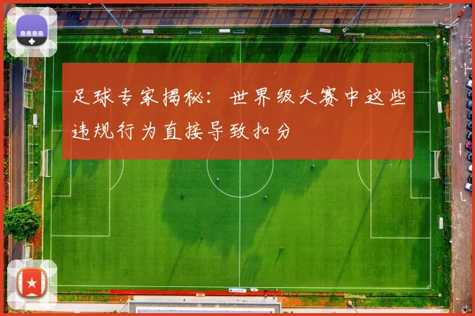 足球专家揭秘：世界级大赛中这些违规行为直接导致扣分