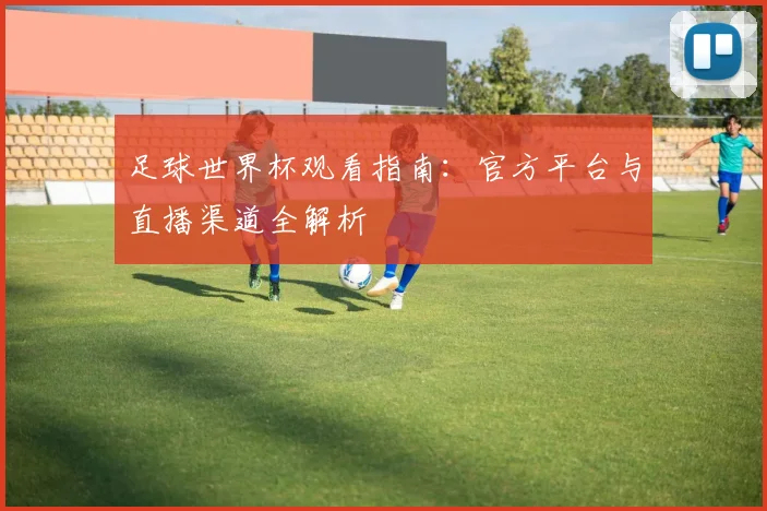 足球世界杯观看指南：官方平台与直播渠道全解析