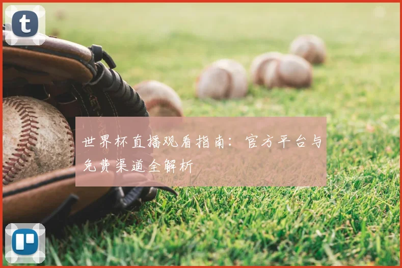 世界杯直播观看指南：官方平台与免费渠道全解析