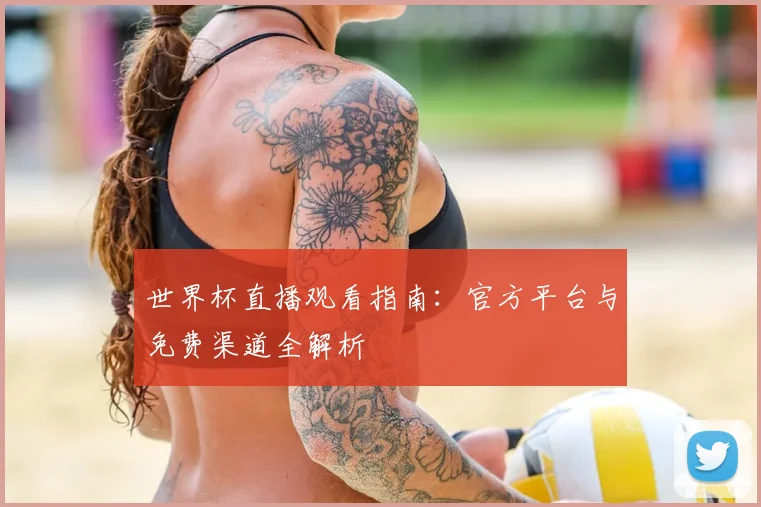 世界杯直播观看指南：官方平台与免费渠道全解析